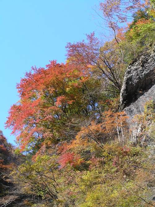 20051119_oyanagawatrip_008